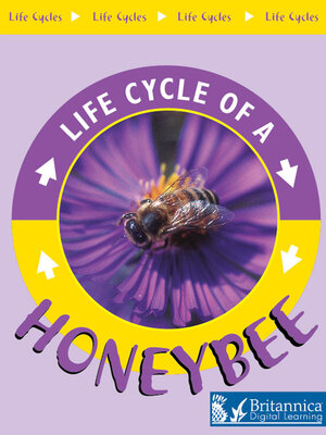 cover image of Honeybee